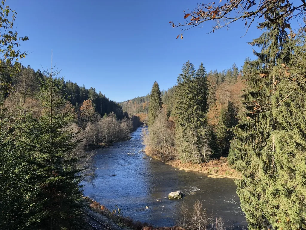 River between forests in autumn colours