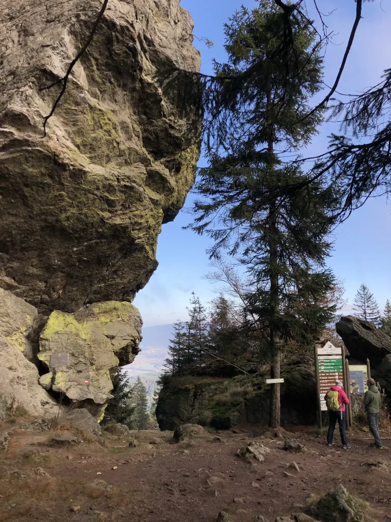 Large boulder next to spruces on a summit