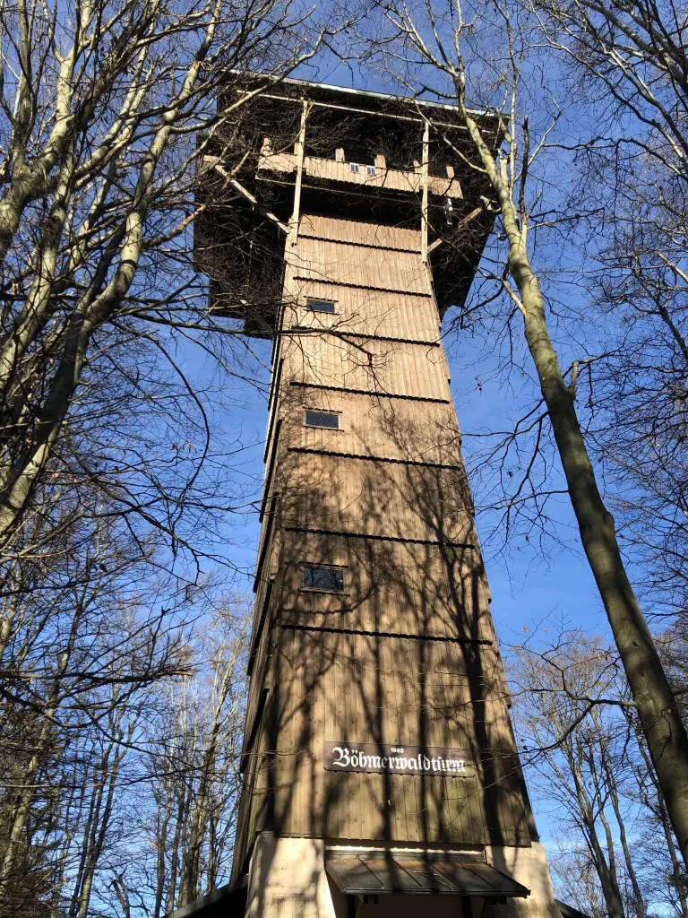 Wooden observation tower seen from below