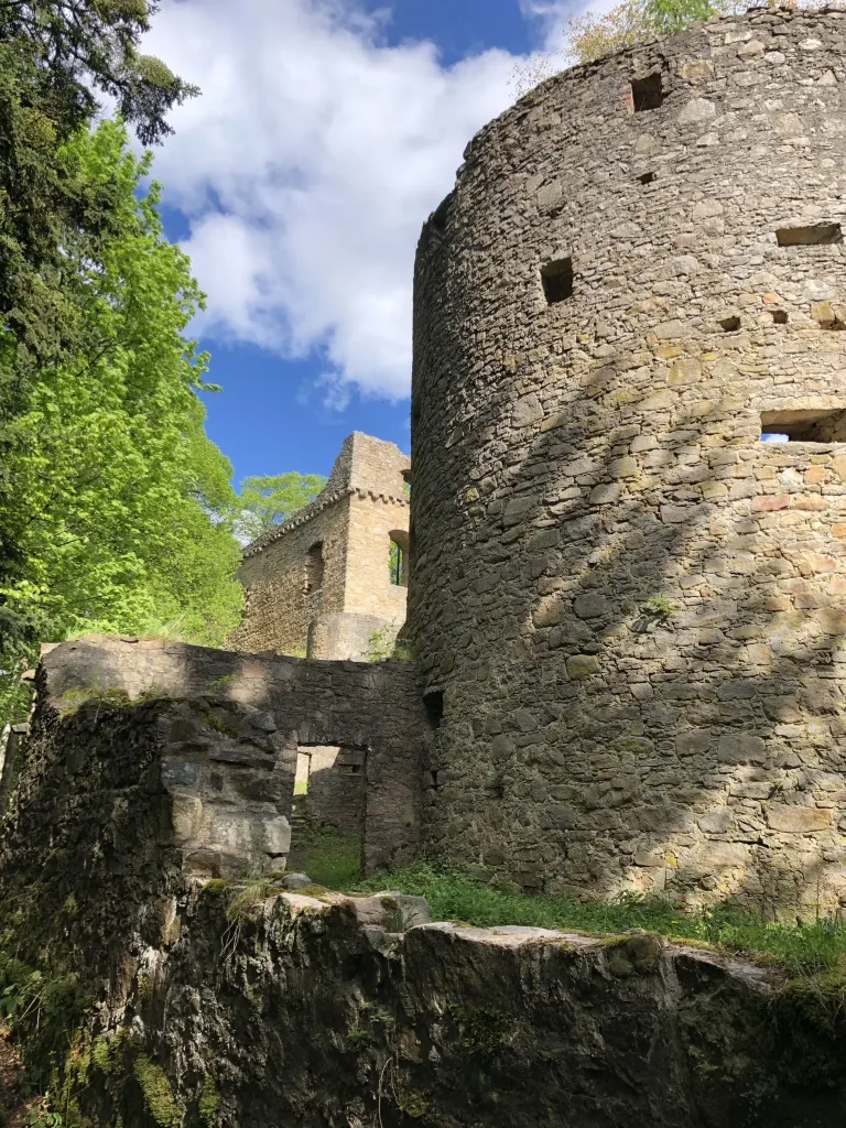 Tower of a ruined castle