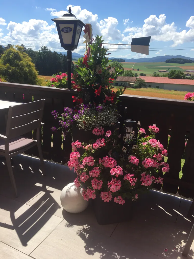 Flower tubs and a lantern on the terrace