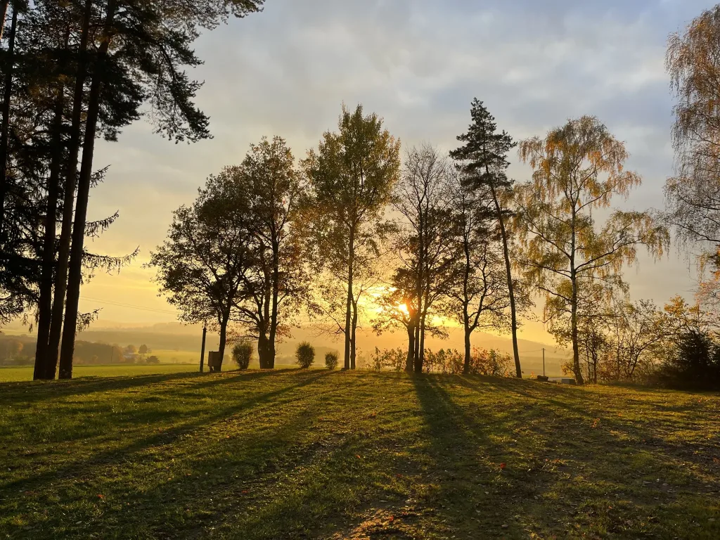 Sunset behind trees at the campsite
